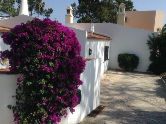Casa Nicho Villa วาเลโดโลโบ ภายนอก รูปภาพ